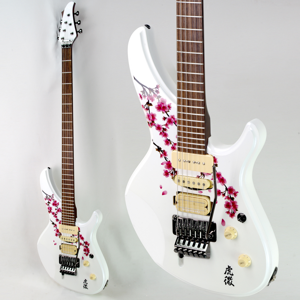 japanese guitar style