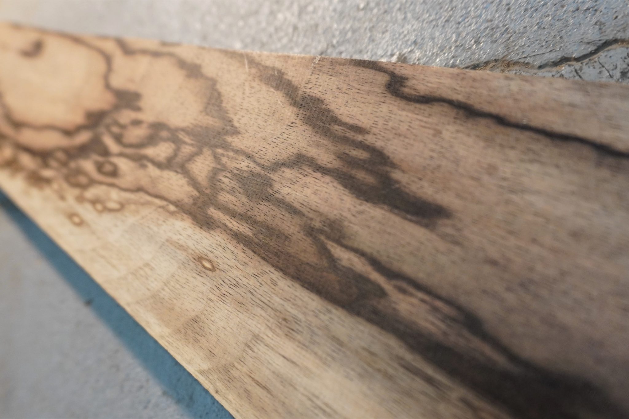 ペールムーンエボニー Pale Moon Ebony Sago New Material Guitars