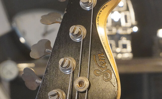 Stem 5 Strings Bass Model & Classic Style JB