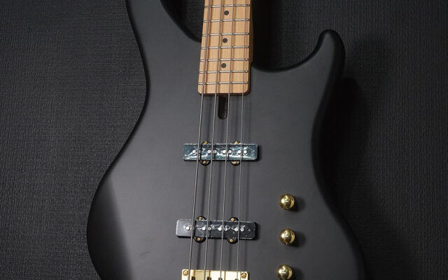ACE BASS AB-4 STD 【English Blog】